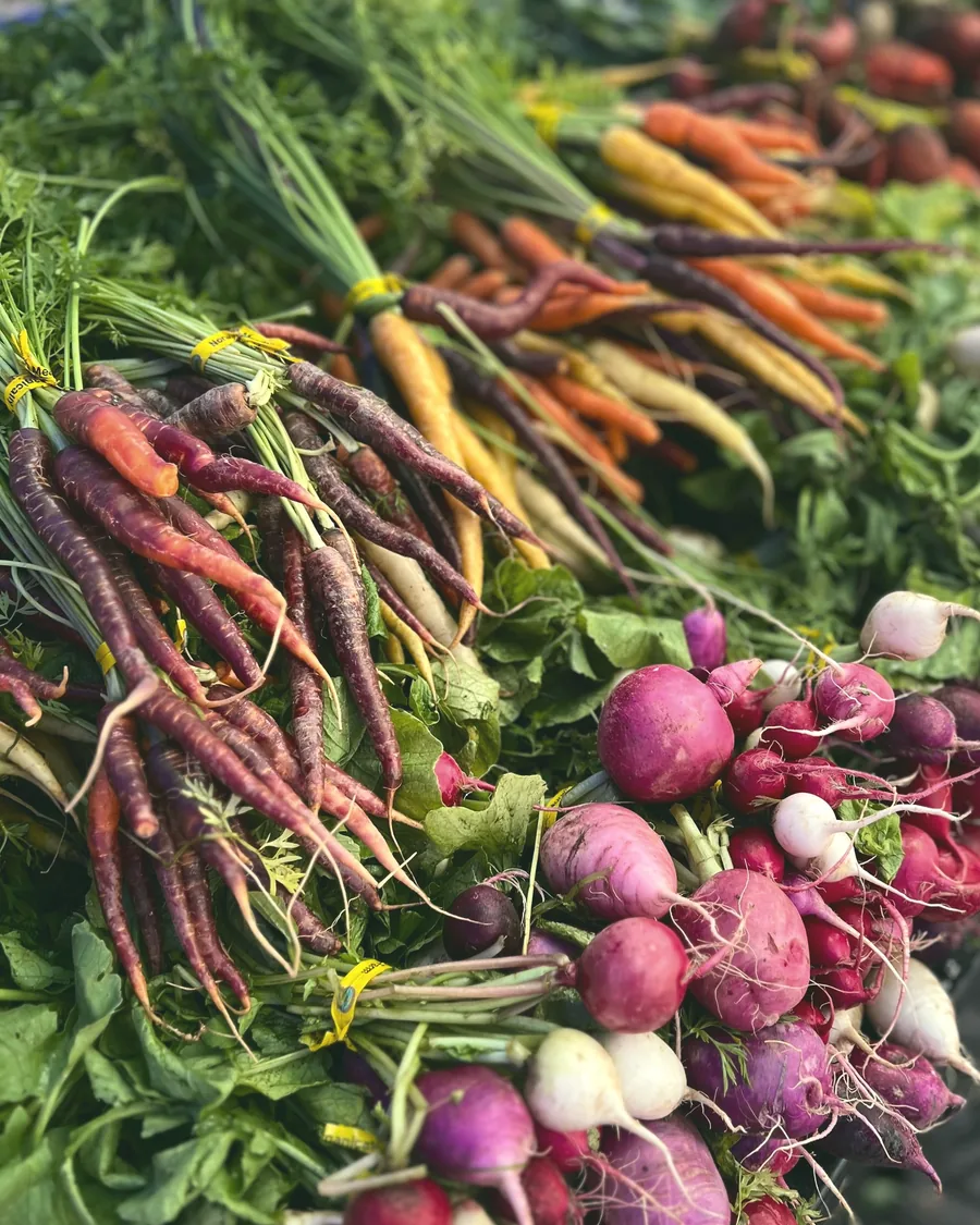Bunches of rainbow carrots and radishes on a farmers-market table.